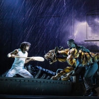 LIFE OF PI Wins First-Ever PETA 'Pony Award' For Animal-Friendly Theater Productions Photo