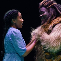 Review Roundup: THE WIZ at Broadway At Music Circus Video