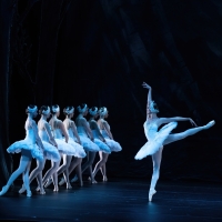 Review: THE UNITED UKRAINIAN BALLET - SWAN LAKE Video