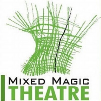 BWW Exclusive: Ricardo Pitts-Wiley, Co-Founder of Mixed Magic Theatre- 'The New Bette Photo