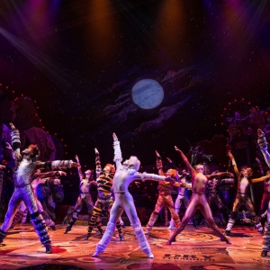 Betty Buckley, Bryan Batt, and More Set for CATS4KAMALA Online Fundraising Event Photo