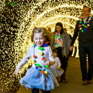 Tickets On Sale Next Month For This Years GARDEN LIGHTS, HOLIDAY NIGHTS! Photo