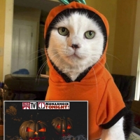 Park Theatre Holds Virtual Halloween Costume Contest Photo