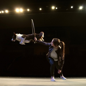 MUTTS GONE NUTS - UNLEASHED! Comes To Aventura Photo