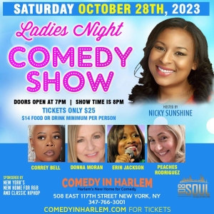 Comic Nicky Sunshine to Host Ladies Night Showcase at Comedy In Harlem Photo