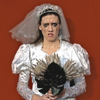 BWW Review: THE BRIDE at The Blue Room Theatre Photo