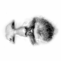 Teddy Swims Releases New Single '911'