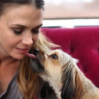 Sutton Foster Will Support Two Initiatives to Help Shelter Animals in Need Photo