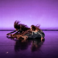 Cherylyn Lavagnino Dance Returns With Salon Performance at NY City Center Studios Photo
