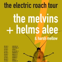 The Melvins Announce 'The Electric Roach Tour' Photo