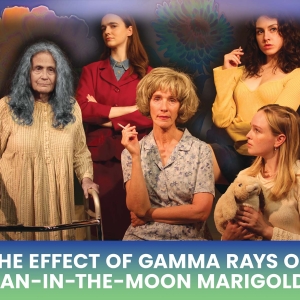 The Open Eye Theatre to Present THE EFFECT OF GAMMA RAYS ON MAN-IN-THE-MOON MARIGOLDS Photo