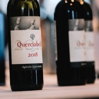 QUERCIABELLA CHIANTI CLASSICO DOCG 2018-A Vegan Wine Prized for its Versatility and E Photo