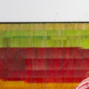 VANCOUVER NOW! Series to Launch at Vancouver Art Gallery Photo