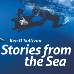 STORIES FROM THE SEA Will Debut at The Everyman Photo