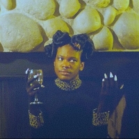 Shamir Shares 'Diet' Video Photo