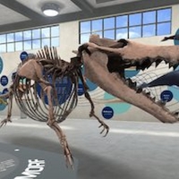 New 3D Exhibit By University of Michigan Museum Of Natural History Offers Up-Close En Photo