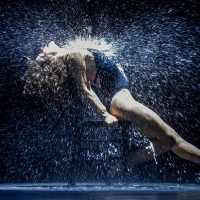 BWW Review: FLASHDANCE at Stadthalle Wien Photo