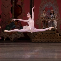  Inland Pacific Ballet's NUTCRACKER Returns To The IE With Special Guest Soloists Photo