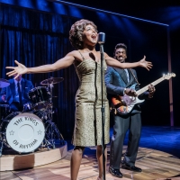 Tony Awards Administration Committee Makes Eligibility Rulings for TINA, JAGGED LITTL Photo