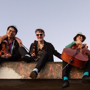 Ian Maloney to Lead DOLPHINS QUARTET Workshop at Summer String Festival Photo