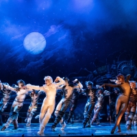BWW Review: CATS at The Orpheum Theatre Memphis