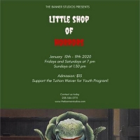 BWW Review: LITTLE SHOP OF HORRORS at The Banner Studios