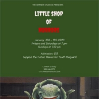 BWW Review: LITTLE SHOP OF HORRORS at The Banner Studios Video