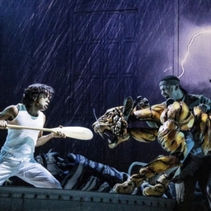 Single Tickets Are On Sale Now for The Fabulous Fox’s 2025 Broadway Performances Video