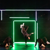 Review: ZOONATION: MIXTAPE, Sadler's Wells Video