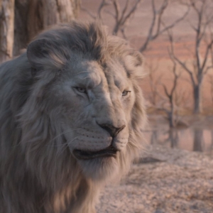 Video: Bye Bye Musical Sequence From Disneys MUFASA: THE LION KING Photo