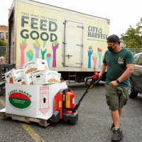 CITY HARVEST Rescues and Delivers Billionth Pound of Food for New Yorkers Photo