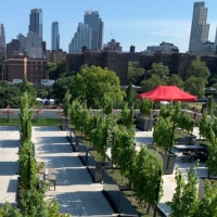 ROOFTOP REDS in Brooklyn-Events to Know About Photo