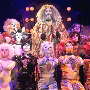 CATS Now Playing At Broadway Palm Dinner Theatre Photo
