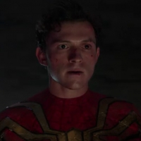 VIDEO: Watch the Trailer for SPIDER-MAN: NO WAY HOME Photo