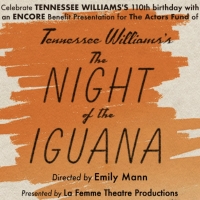 $10 Tickets to The Night of the Iguana Starring Dylan McDermott & Phylicia Rashad Photo