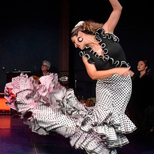 Compa&ntilde;&iacute;a Chuscales & Mina Fajardo&nbsp;to Present New Flamenco Series at Photo