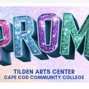 Spotlight: THE PROM at Tilden Arts Center Photo