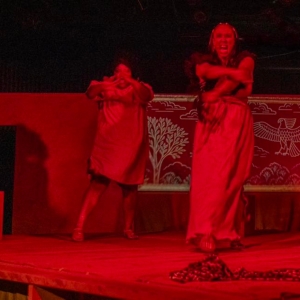 Review: MAD Theatre of Tampa AIDA at the Shimberg Playhouse Photo