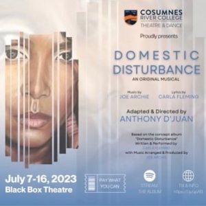 New Musical DOMESTIC DISTURBANCE Premieres At Black Box Theatre, July 7-16 Photo
