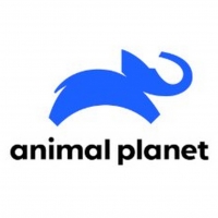 Animal Planet Acquires Worldwide Television Rights to Documentary Film WATSON Photo