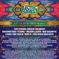 Flume, Major Lazer & More Announced for Electric Forest's 10th Anniversary Photo