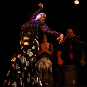Saratoga Performing Arts Center Announces Week-Long Residency with Flamenco Vivo Carl