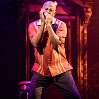 LACKAWANNA BLUES Delays Opening Night as Ruben Santiago-Hudson Recovers from Back…