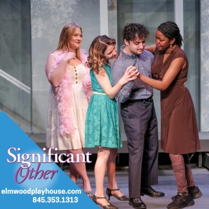 Review: Situation Dramedy SIGNIFICANT OTHER at Elmwood Playhouse Photo