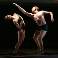 Virtual Hudson Valley Dance Festival Raises $100,219 for Dancers Responding to AIDS Photo