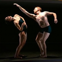 Virtual Hudson Valley Dance Festival Raises $100,219 for Dancers Responding to AIDS
