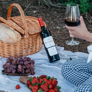 Bodegas Montecillo Crianza 2019-A Favorite Summertime Red Wine from Rioja Photo