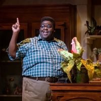 BWW Review: LITTLE SHOP OF HORRORS Kills It at SKYLIGHT MUSIC THEATRE Photo