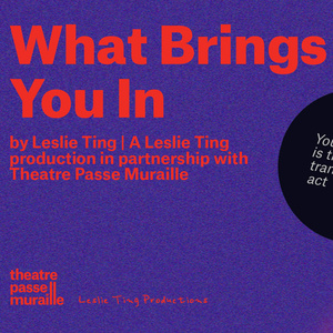 Review: WHAT BRINGS YOU IN at Theatre Passe Muraille Photo