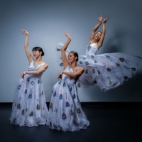 Marietta College to Present Nai-Ni Chen Dance Company as Part of The Ebenshade Series Photo